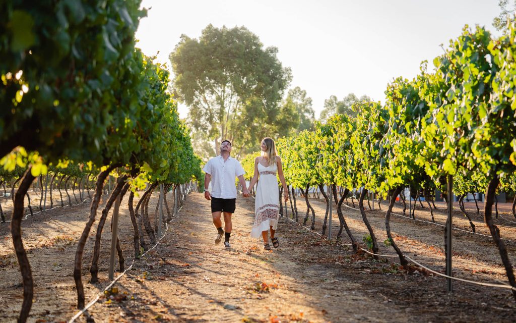 Walking through the vinyard at Redgum Wine Estate in Dwellingup
