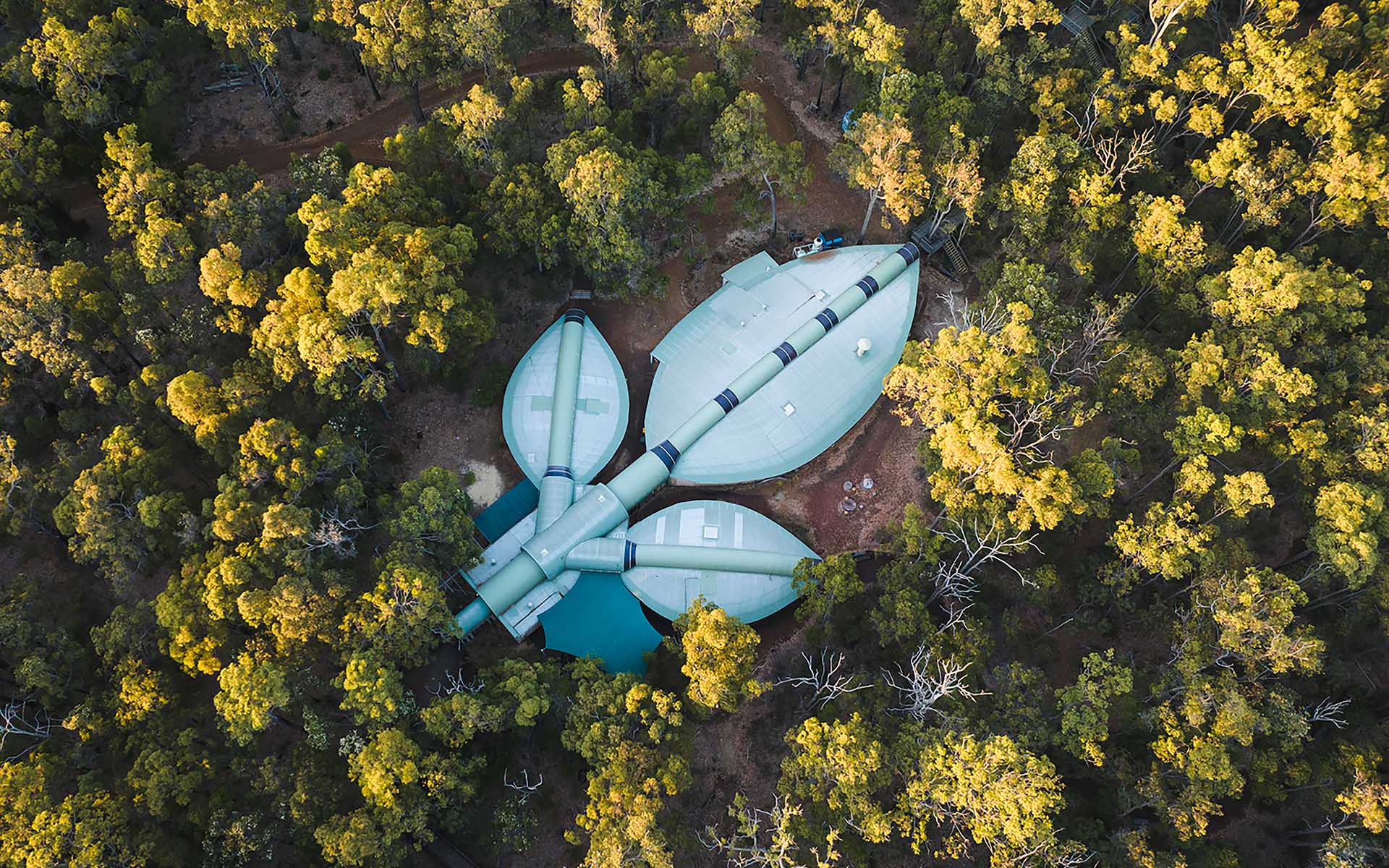 Aeiral photo of the leaf-shaped Forest Discovery Centre in Dwellingup, Western Australia