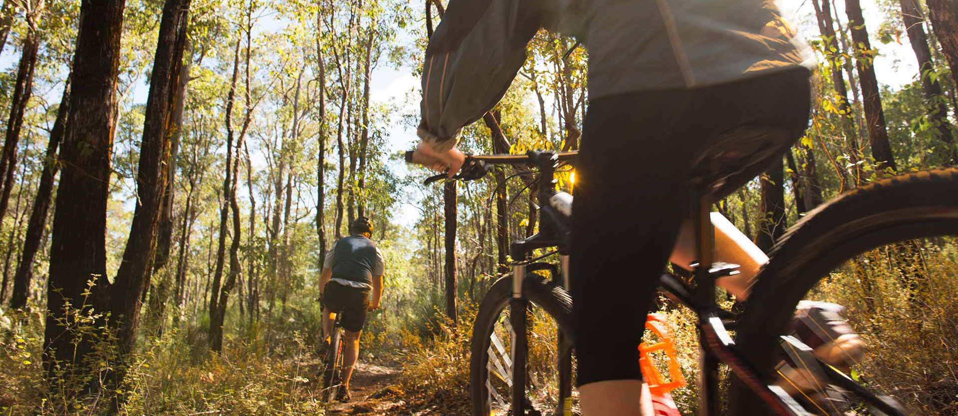 Dwellingup Mountain Bike Trails