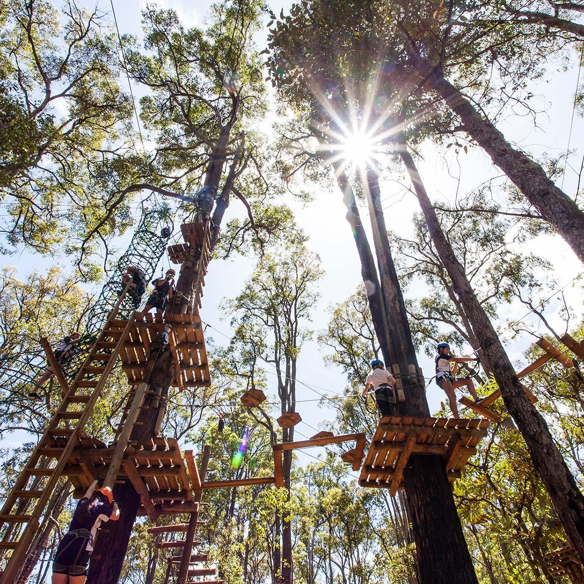 Thrill Seekers love an adventure at local attraction, Treetops Adventure, in Lane Poole Reserve near Dwellingup, Western Australia