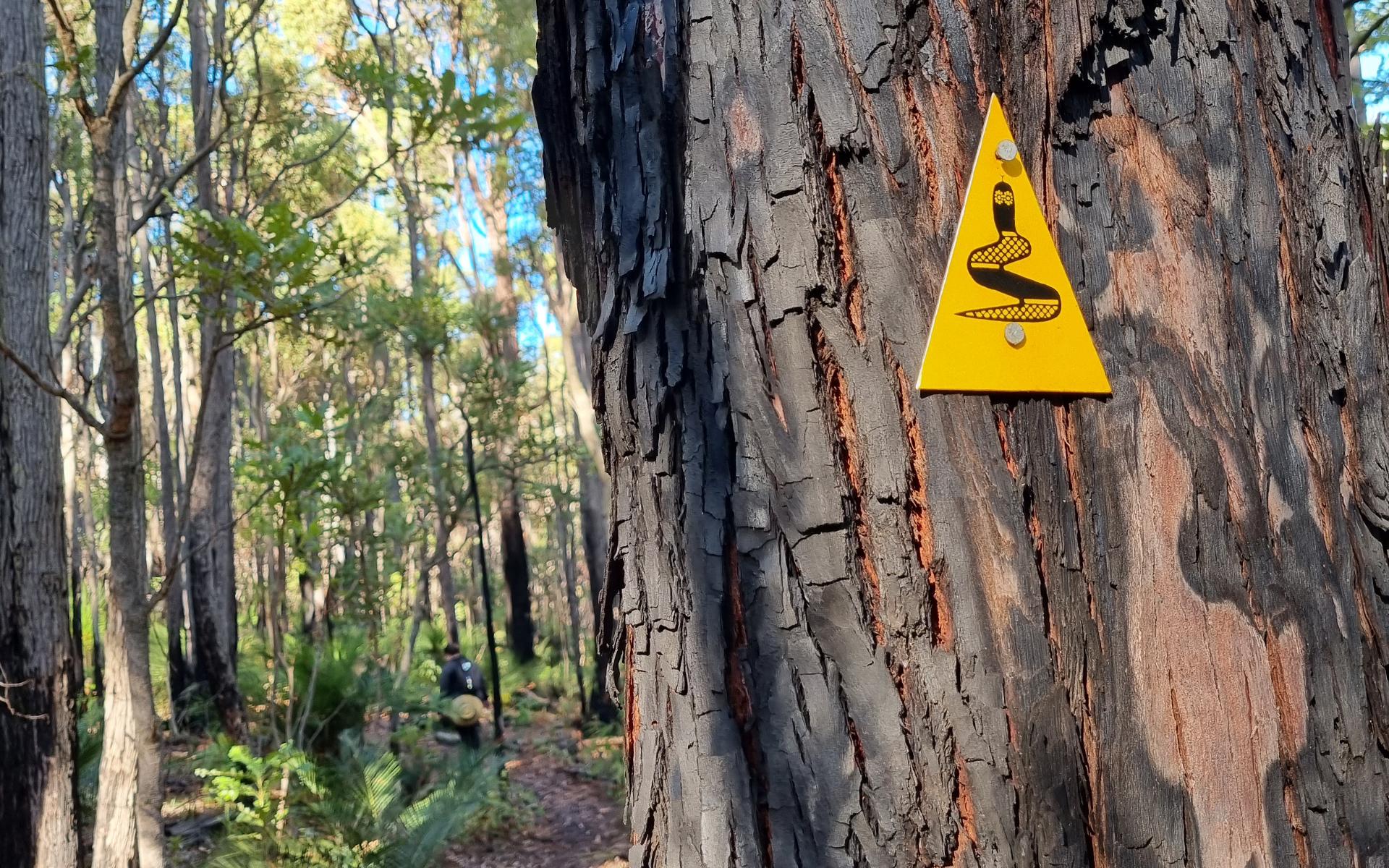 Bibbulmun Track Marker in Dwellingup Forest