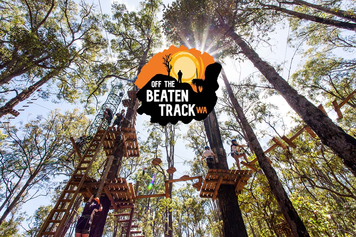 Dwellingup Treetops Adventure Hike guided tour with Off The Beaten Track WA