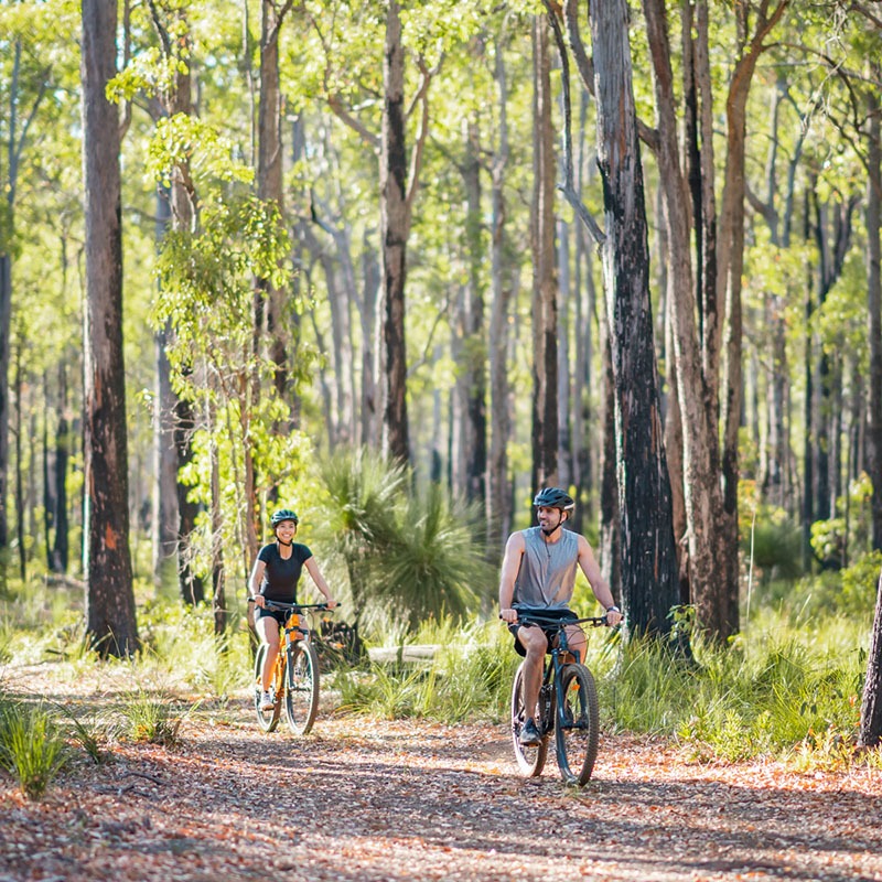 Ride easy mountain bike trails in Dwellingup, Western Australia