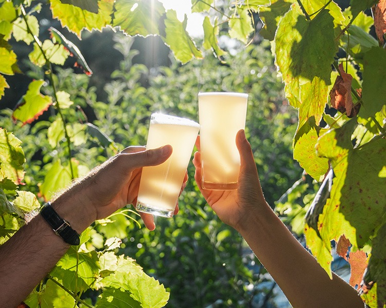 Enjoy handcrafted cider at the Winde Tree Cidery in Dwellingup