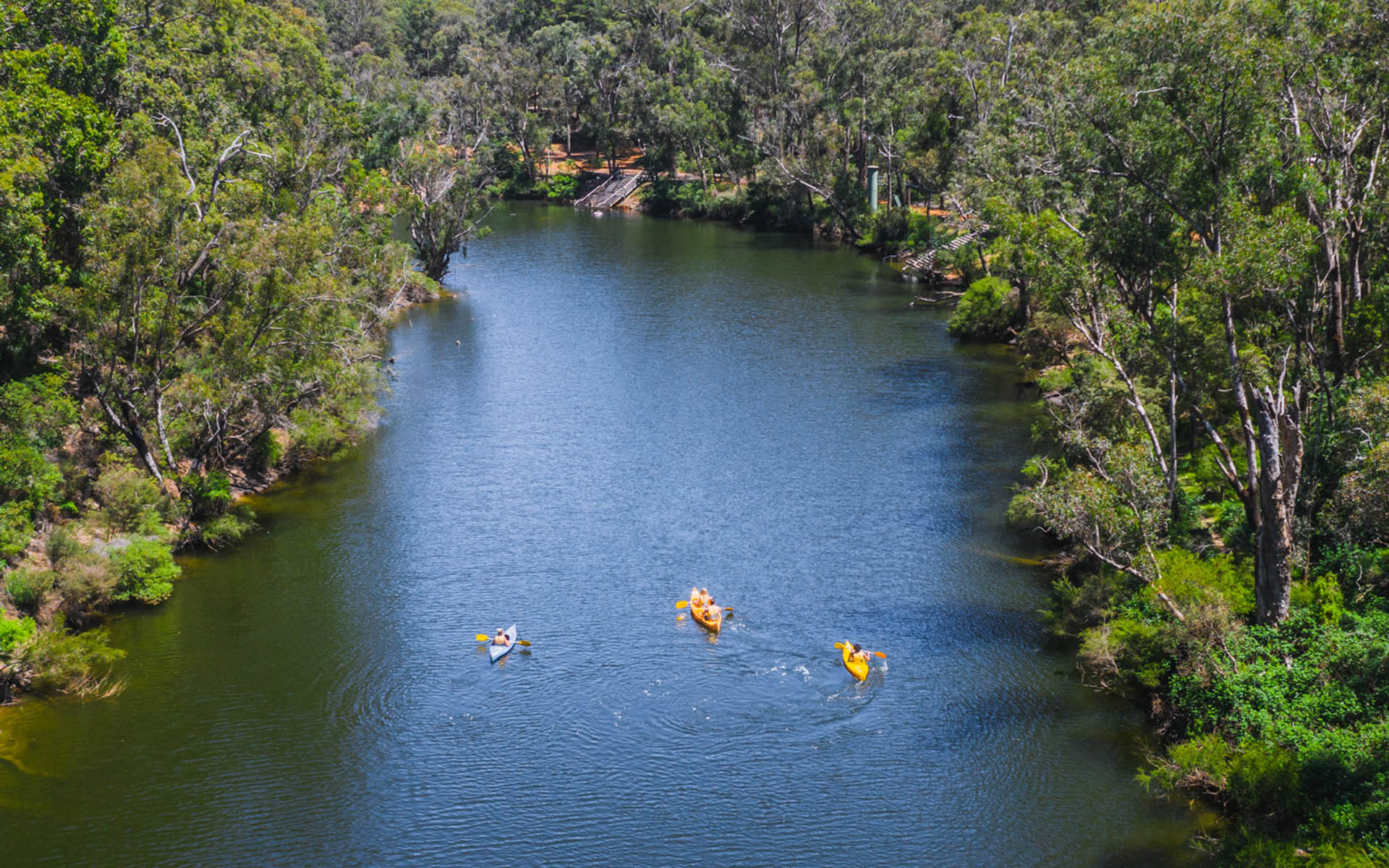 Kayaking on the Murray River amongst Jarrah Forest in Dwellingup