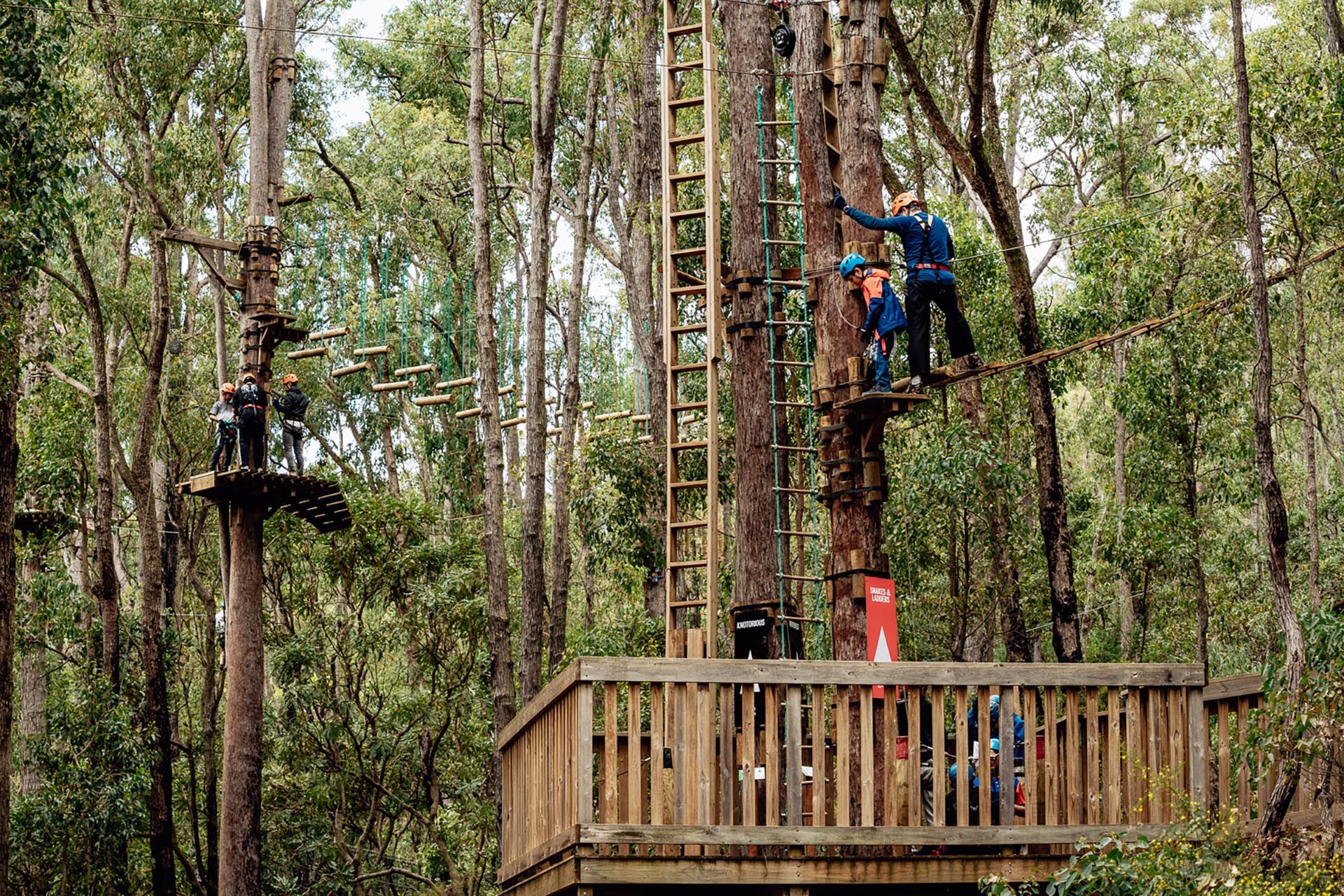 Book tickets for Treetops Adventure Dwellingup