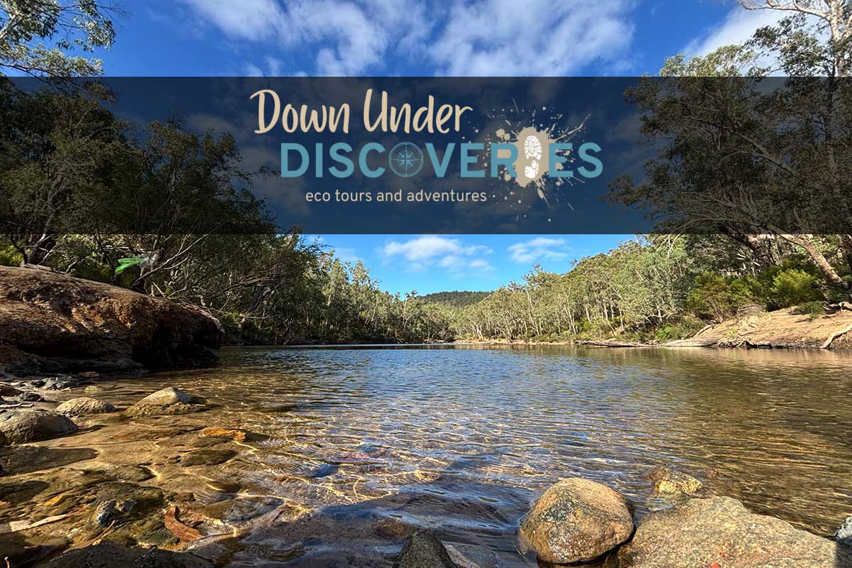 An image of Island Pool in Dwellingup with Down Under Discoveries Tour Logo