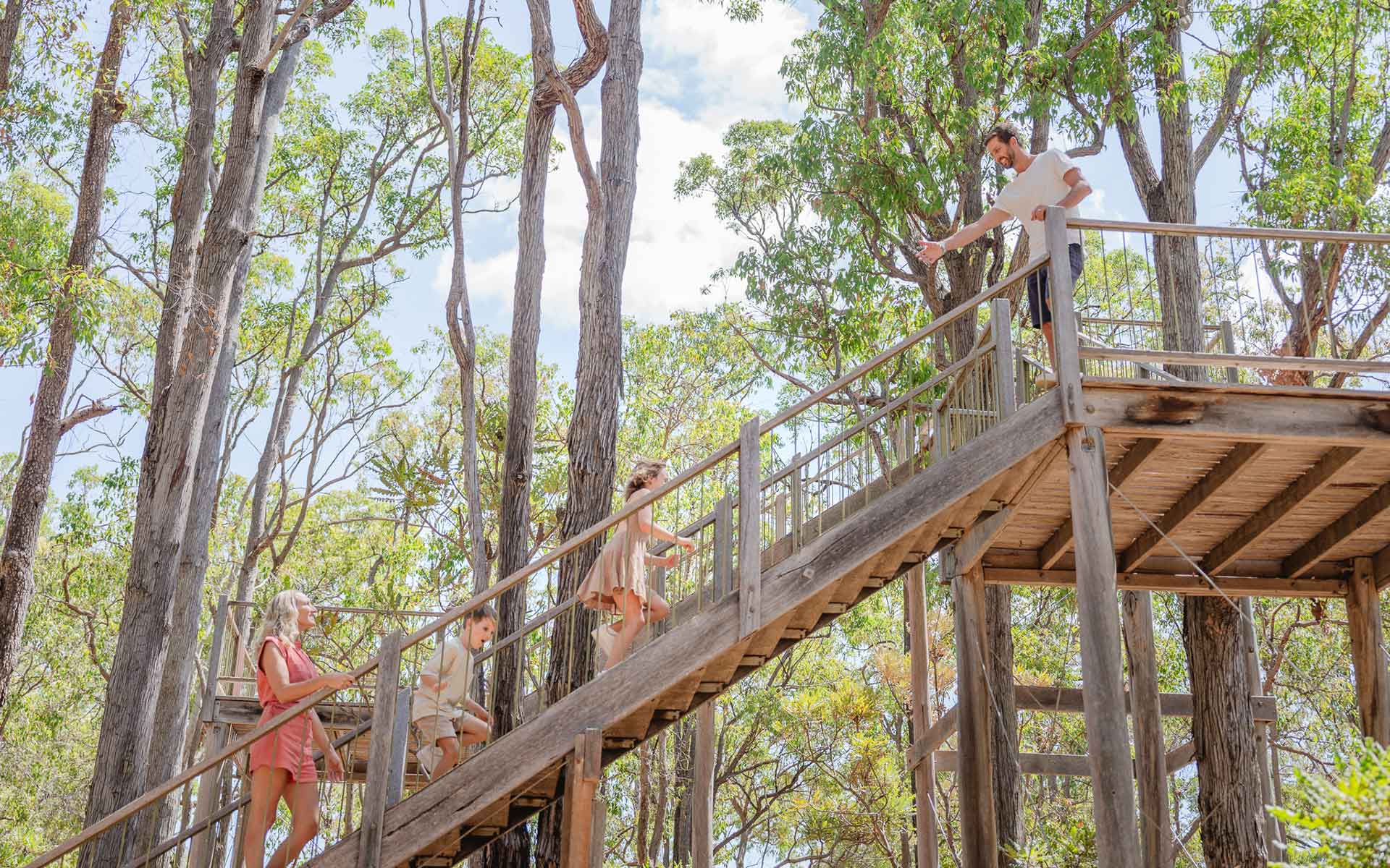 Family climbing tree top walk at Forest Discovery Centre in Dwellingup