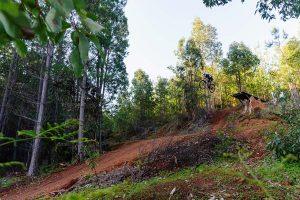Toms Crossing Mountain Bike Trails in Dwellingup