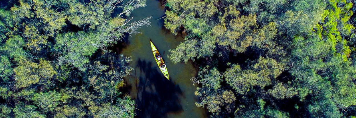 Salt and Bush Eco Tours - Aerial Kayaks