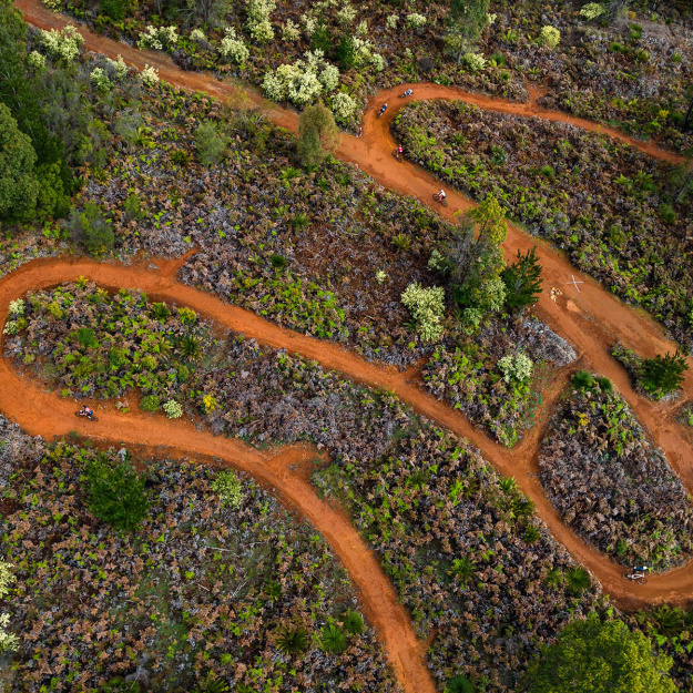 Aerial photo of Murray Valley Trails for Dwellingup 100